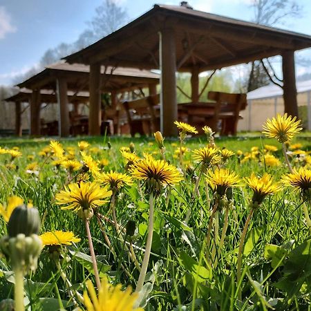 Mazowieckie Siolo Julianowka Dış mekan fotoğraf
