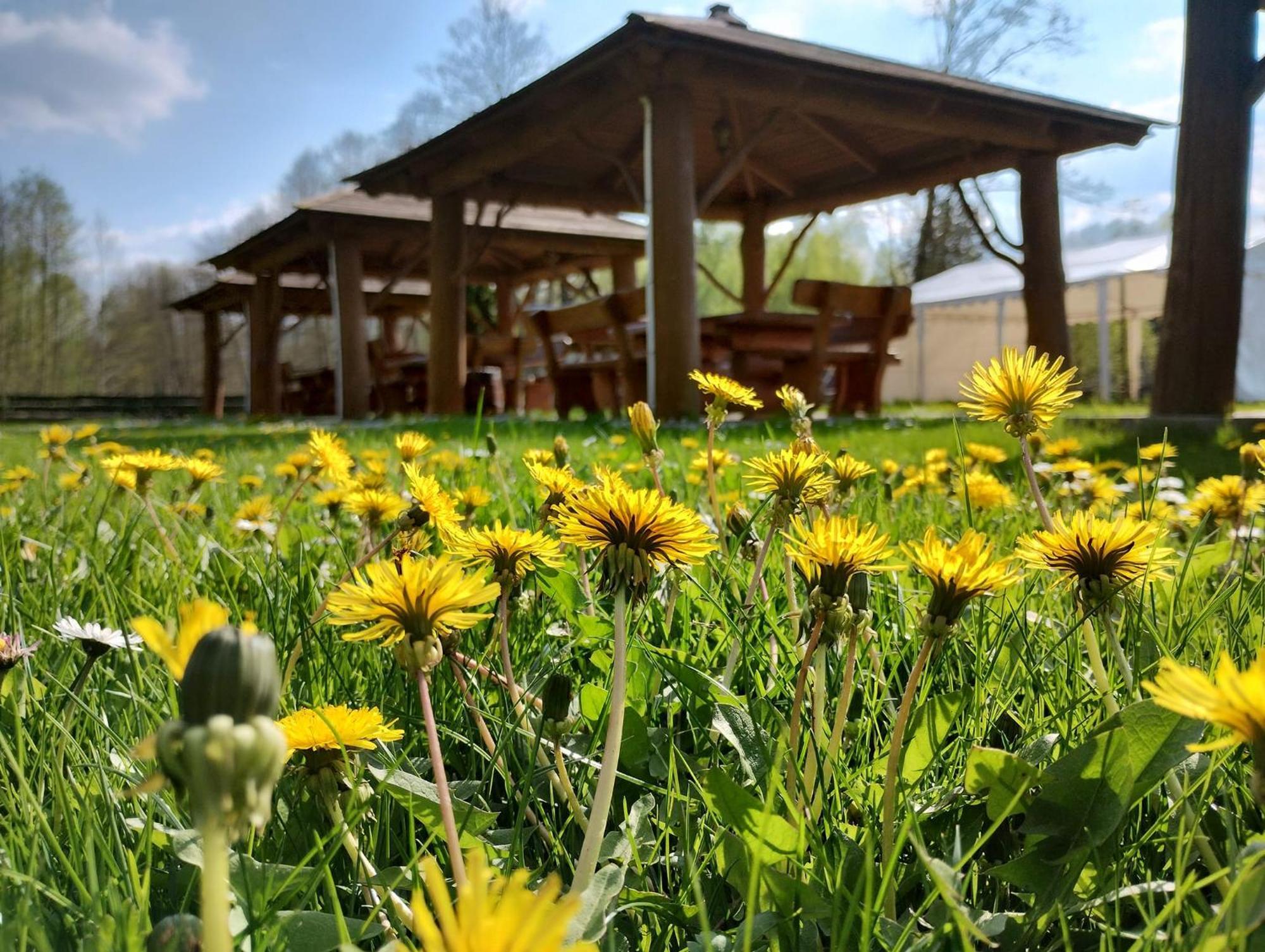 Mazowieckie Siolo Julianowka Dış mekan fotoğraf
