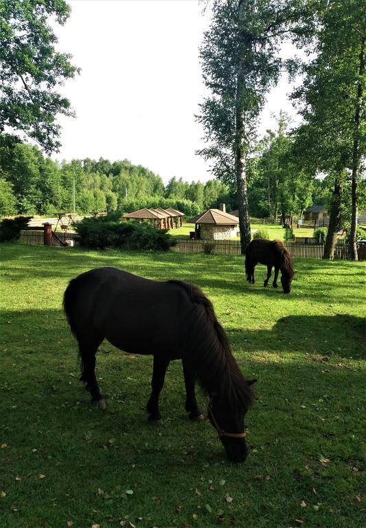 Mazowieckie Siolo Julianowka Dış mekan fotoğraf